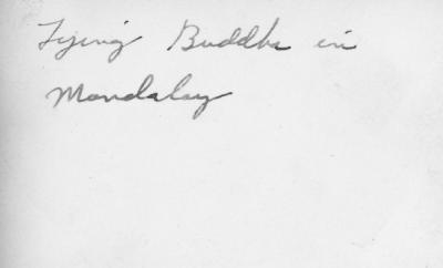 SB_0079_back LR.jpg