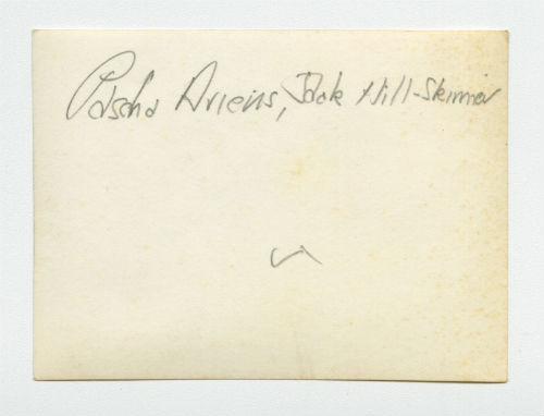 Bird hunting party in Syria (Pasha Ariens and Jack Hill-Skinner). Verso 2