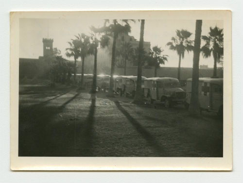 Ambulance convoy in Alexandria, Egypt. Recto