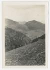 Landscape with mountains and trees