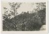 Landscape with trees and ruins