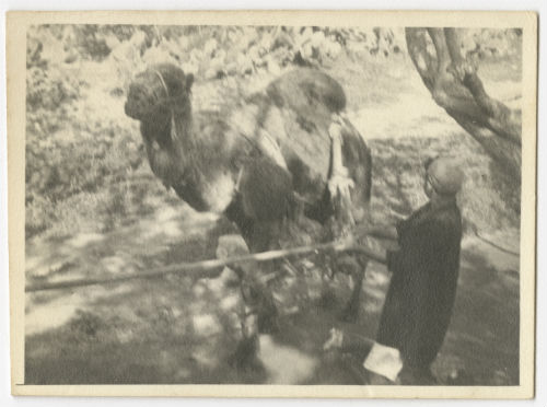 Primitive method of irrigation in Tunisia (1). Recto