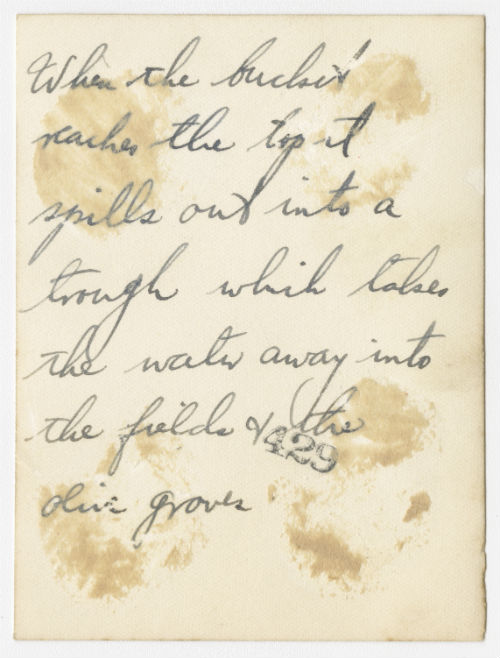 Primitive method of irrigation in Tunisia (2). Verso
