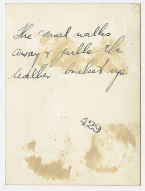 Primitive method of irrigation in Tunisia (3). Verso