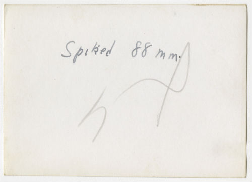 Spiked 88 mm gun. Verso
