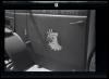 567 Coy Insignia on the door of an AFS vehicle (1)
