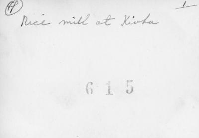 SB_0010_back LR.jpg